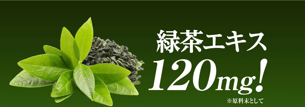緑茶エキス 120mg!